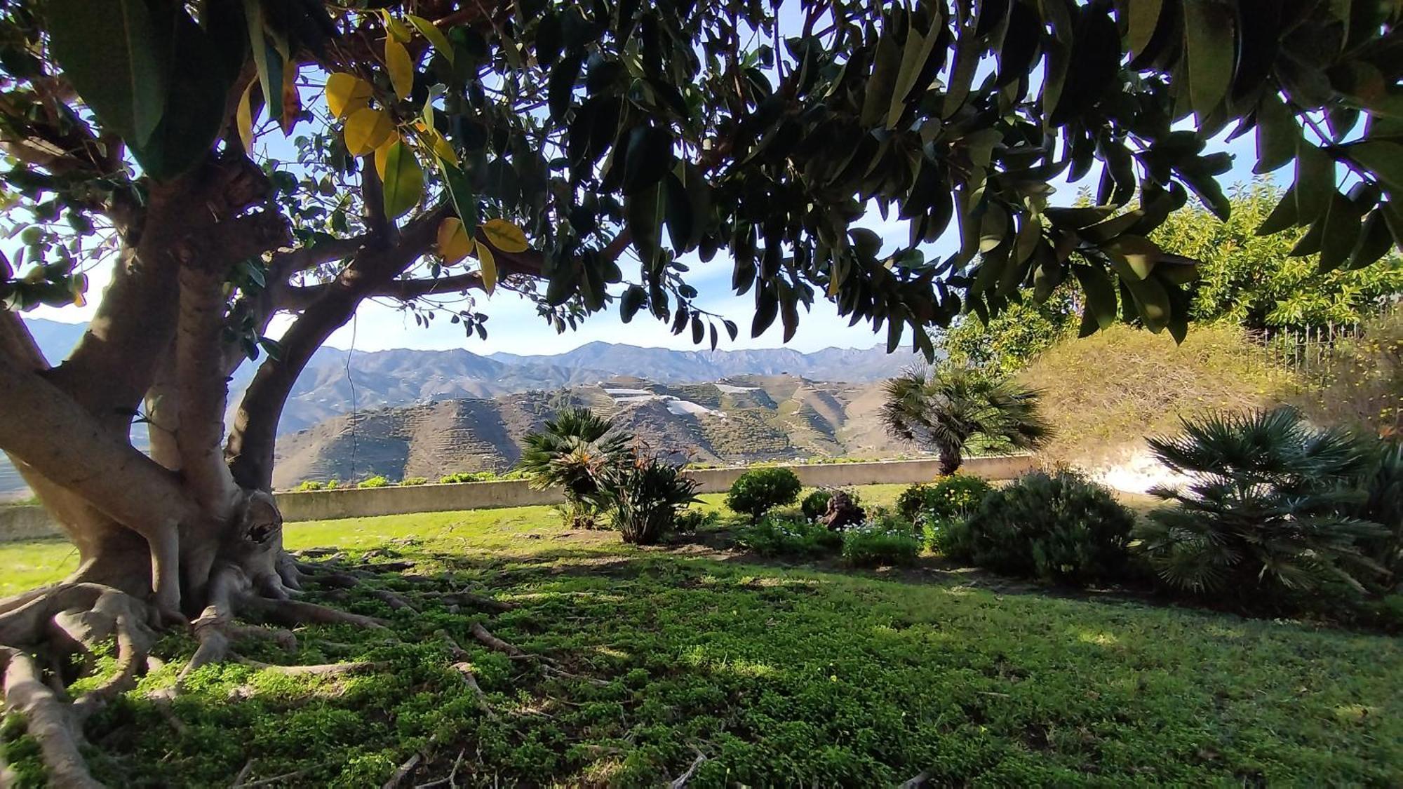 Cortijo De La Luna La Casita Тарамай Экстерьер фото